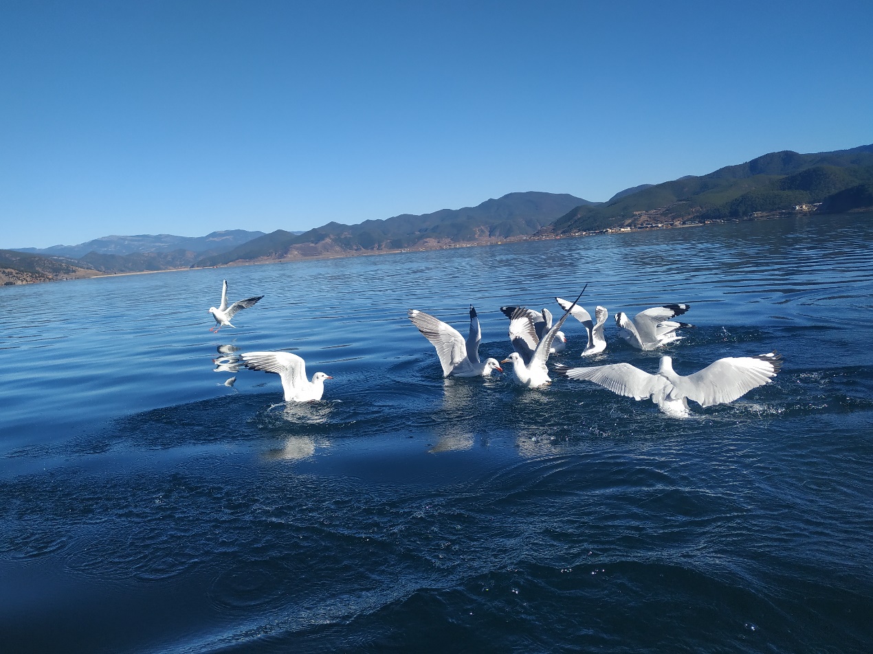 大涵文化2019年度七彩云南之旅活动圆满举行 大涵文化2019年度七彩云南之旅活动圆满举行